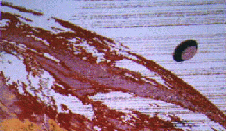 Captured by METEOSAT-3, 1993